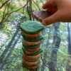 Nature-Inspired Loose Parts Collection - Image 9