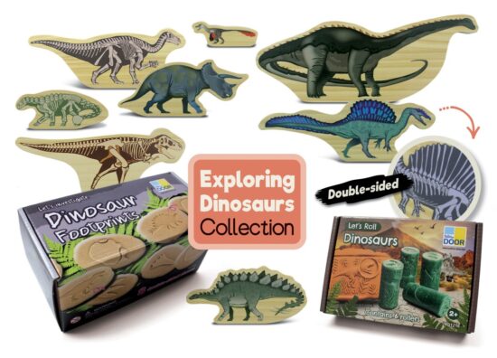 Exploring Dinosaurs Collection 